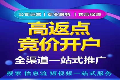金融行业开户返点策略成功实例
