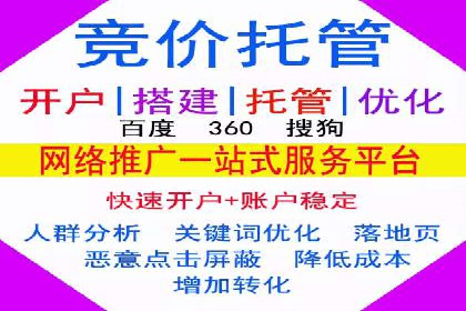 案例研究：如何通过竞价广告实现精准营销